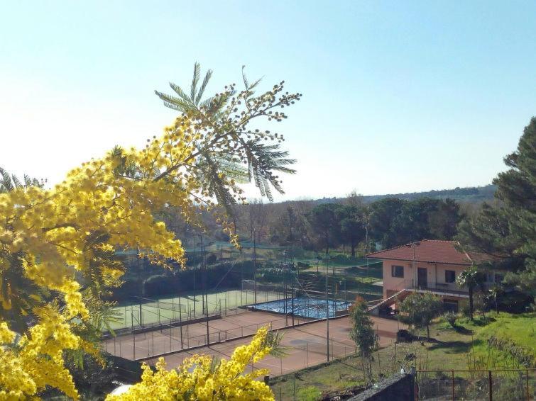 Villa Mimosa Zafferana Etnea Ngoại thất bức ảnh